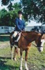 Horse For Sale: Shelly or Red Ritzee McCue- Photo 1