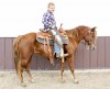Horse For Sale: Benny- Photo 1