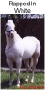 Horse For Stud: Rapped In White- Photo 1