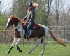 Horse for sale: Red Hot N Smart