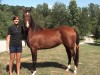 Horse For Sale: Khemoslakeprincess (aka) Khari- Photo 1