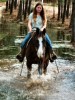 Ranch, Trail and Kid Horses- Photo 2