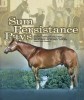 Horse for sale: SUM PERSISTANCE PAYS