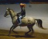 Horse For Sale: Nan Tucket- Photo 1